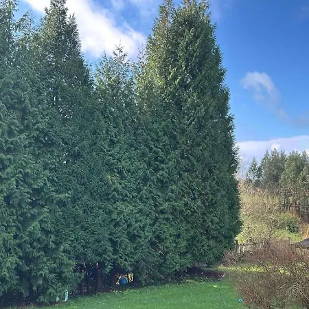 Cedros Ferienhaus Cabañas