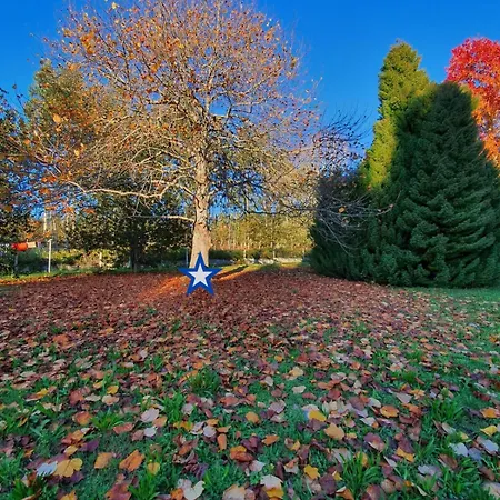 Cedros Дом отдыха