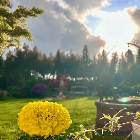 Дом отдыха Cedros Кабаньяс