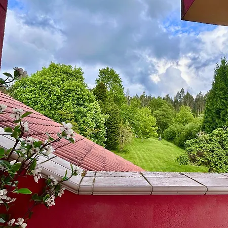 Cedros Cabanas