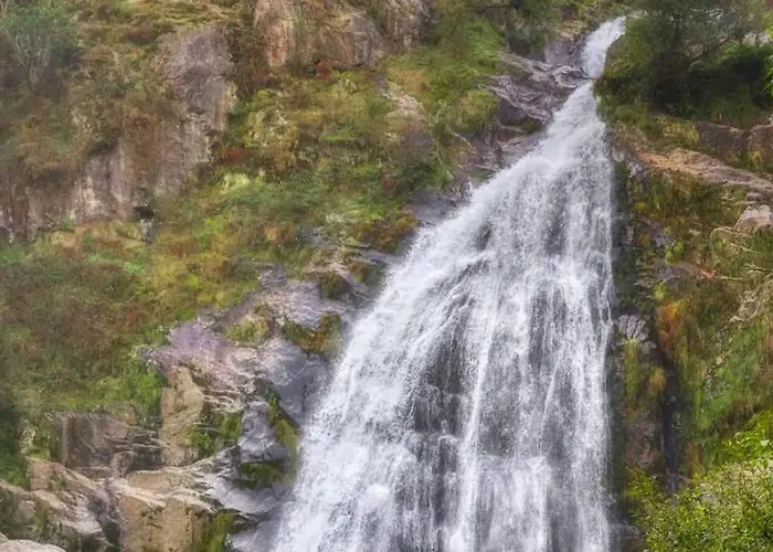 Cedros בית נופש Cabañas