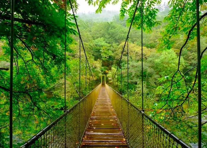 Cedros בית נופש
