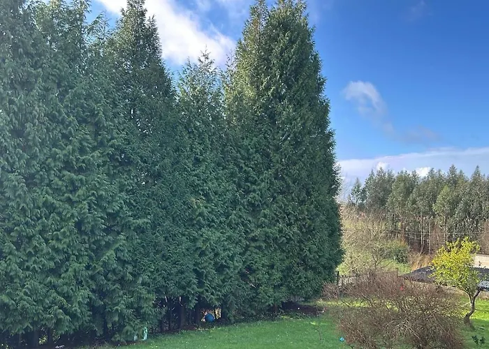 Cedros בית נופש Cabañas