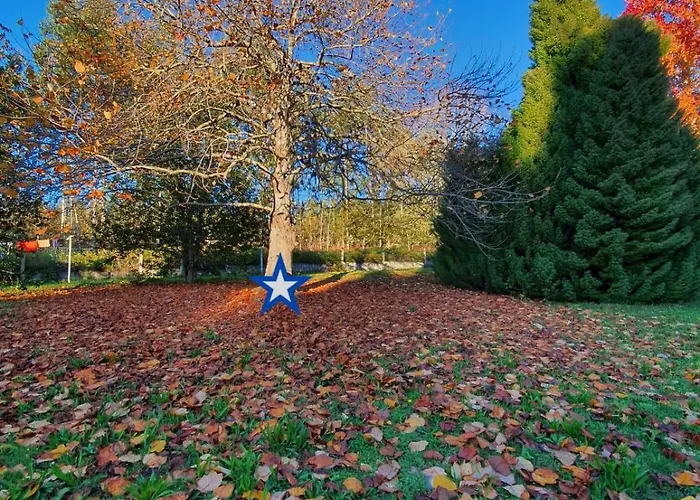 Cedros בית נופש