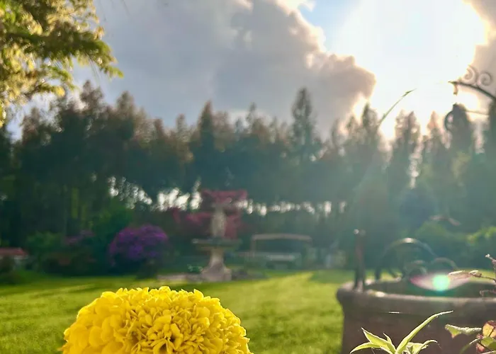 בית נופש Cedros Cabañas